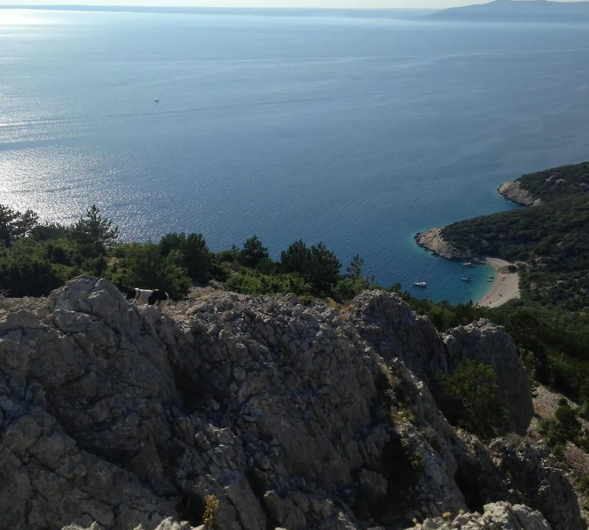 Beautiful Villa On A Small Island Mali Losinj Croatia