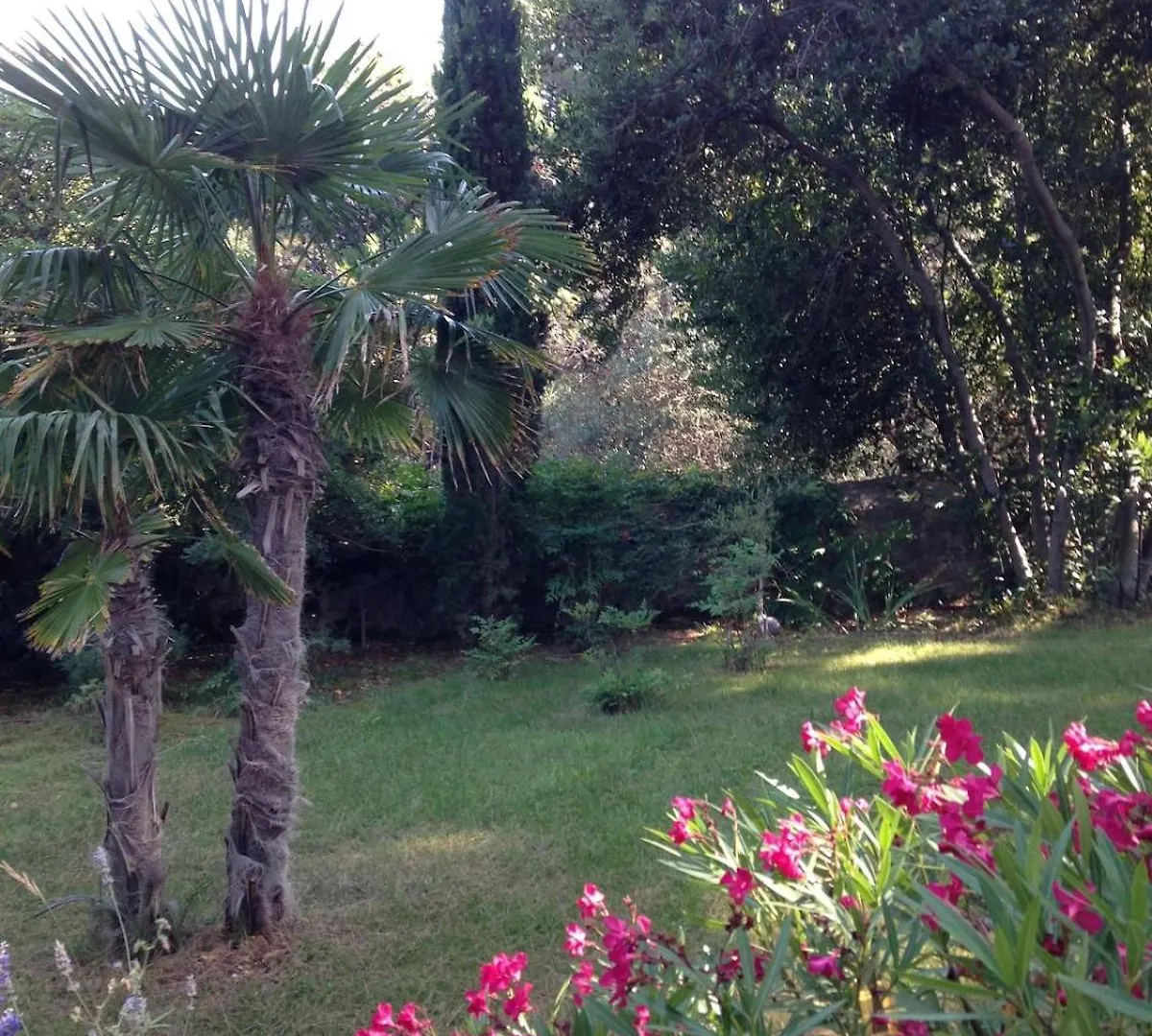 Beautiful Villa On A Small Island Mali Losinj