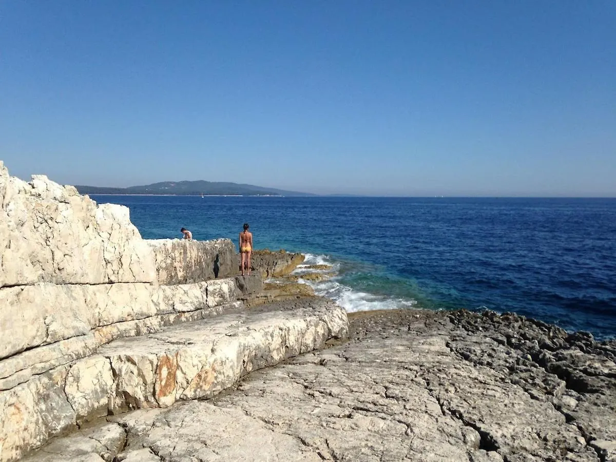 Beautiful Villa On A Small Island Mali Losinj